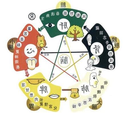 中醫 五行